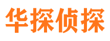 都安市侦探